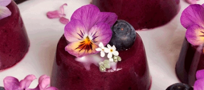 Обезвоженные цветы для декора