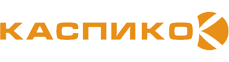 VTEM Logo
